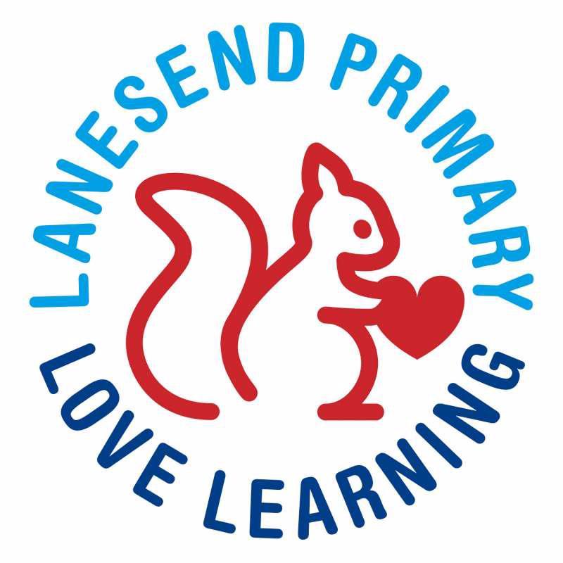 Lanesend Primary Profile