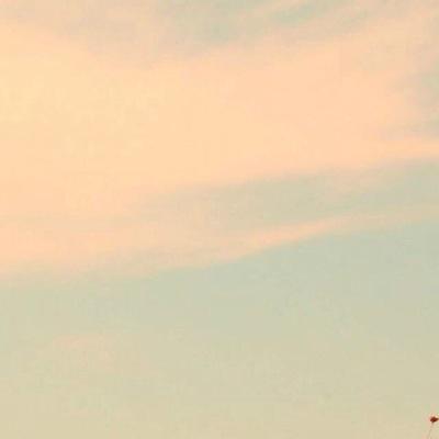 xlotteeeexo's profile picture. 