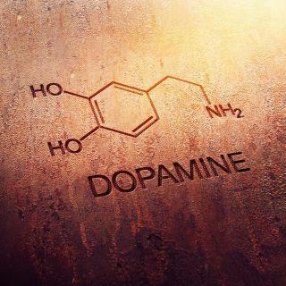 My dream is to worship Allah properly, I want to worship Allah by being a scientist, so my dream is to be a scientist (biochemist) #logic