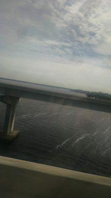 Florida Bound (: Music is My Reality