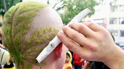 luisquilizapa1's profile picture. 