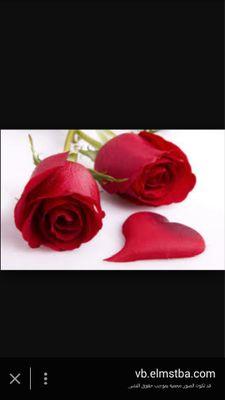 akleyl4444's profile picture. 