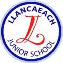Llancaeach Junior School Profile
