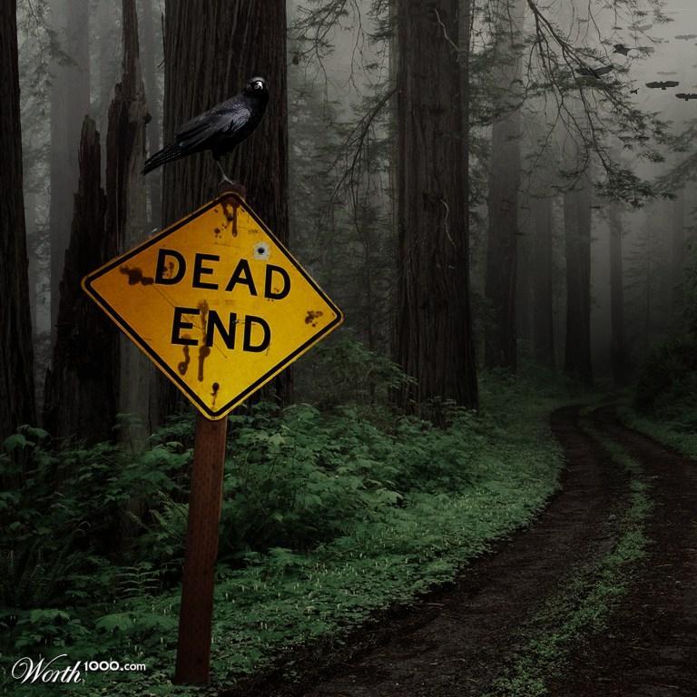 EdiLimited's profile picture. 