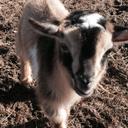 Donna Seavey - @DonnaTango74 - Twitter