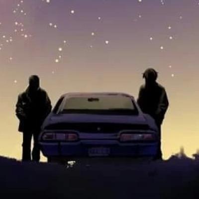 Prussian_kitten's profile picture. 