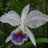 JACKE_04's profile image