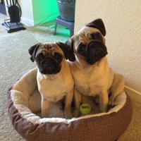 Minnie And Irwin (@minnie_irwin) 's Twitter Profile