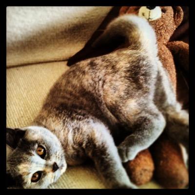 CarleyHill21's profile picture. 