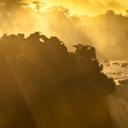 Omar Anthony Colque - @PkSting - Twitter