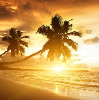 sbgetaways's profile picture. The most popular destinations spring breakers are flocking to. Visit my site for more information regarding these hotspots!