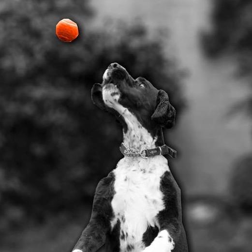 JamesDewar88's profile picture. Photographer/Entrepreneur/Life-Liver