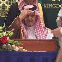 SuLTan (@sultan_ai_) Twitter profile photo