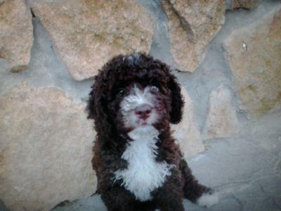 manolirojas52's profile picture. 