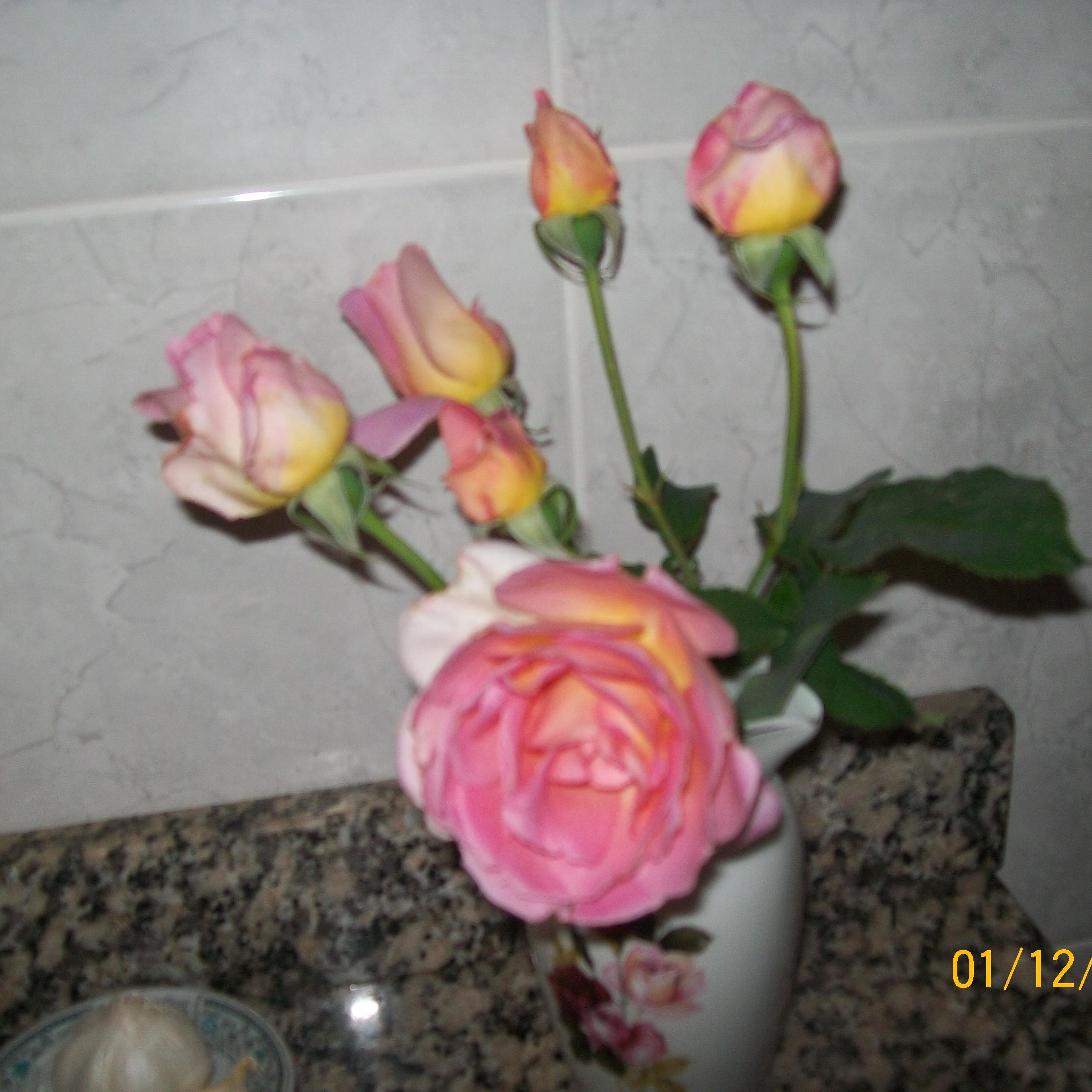 tina_masson's profile picture. 