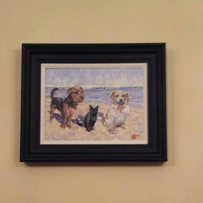 DonohoeGer's profile picture. 