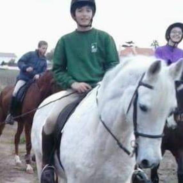 vicente_almada's profile picture. 