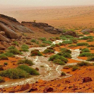 عليك الفرج يالله ياحي ياقيوم الههٍ عباده كلها تلتفت يمه http://t.co/5GStwisLjS #تآبعني_❤️
