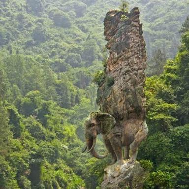 dinosauriore's profile picture. 