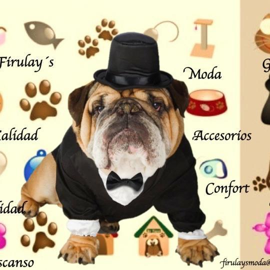 firulaysmoda's profile picture. MODA,DESCANSO Y CONFORT PARA TUS PELUDOS 100% HECHO EN MEXICO.