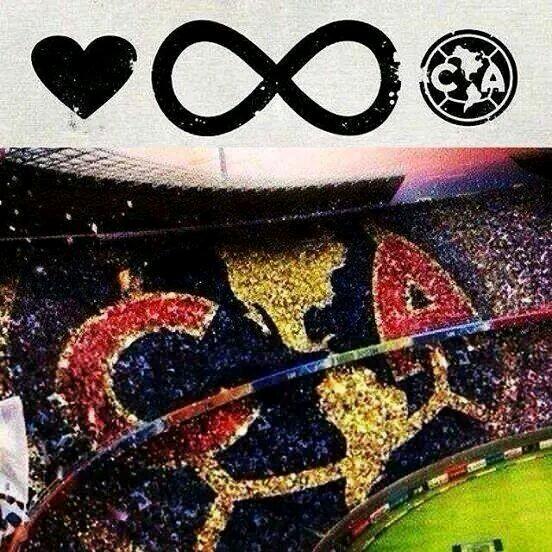 DavidDz75's profile picture. 