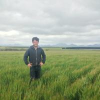 Reece Curwen (@curwenr) 's Twitter Profile