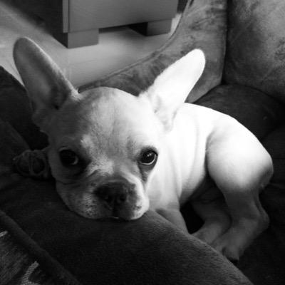 catafval's profile picture. 