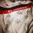 Mkardes1903's profile image