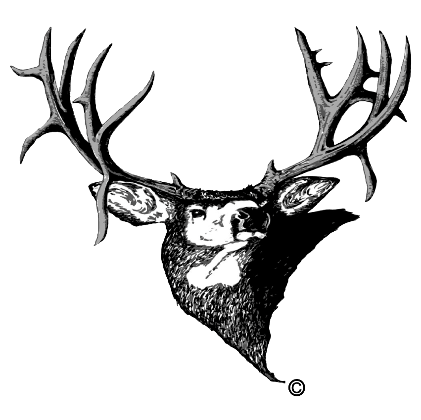 Non Profit - Mule Deer Conservation Organization
