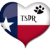 TX Sweeties Rescue (@TXSweetiesDog) Twitter profile photo