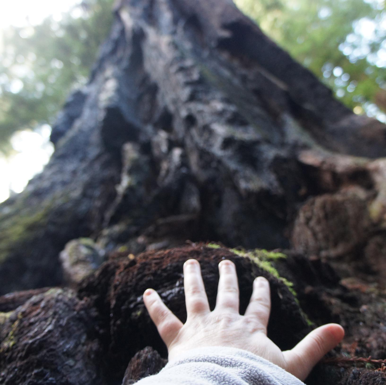 news junkie. hugging trees. doing good, or at least giving it a valiant try. (tweets = me and mine)