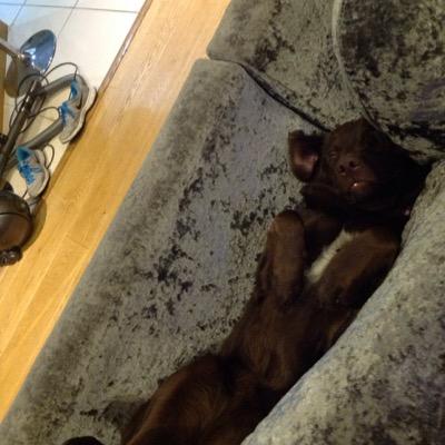 Jackiboy1212's profile picture. 