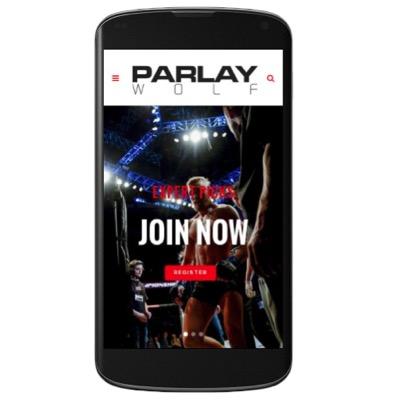 The most successful UFC handicappers in the world Evidenced by our documented track record.