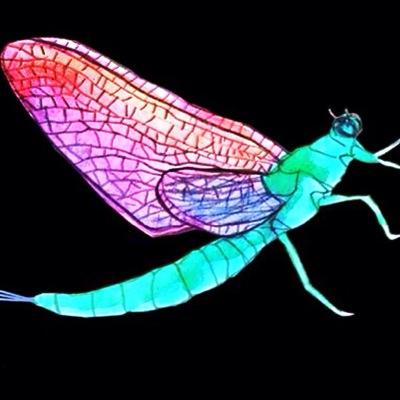 mindfulmayfly's profile picture. ✨PhD student of transpersonal psychology | LMSW holistic psychotherapist | reiki master | dream worker | art creator | picture taker | music maker ✨