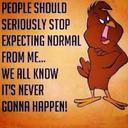 Kathryn Bates - @KTBatesNC - Twitter