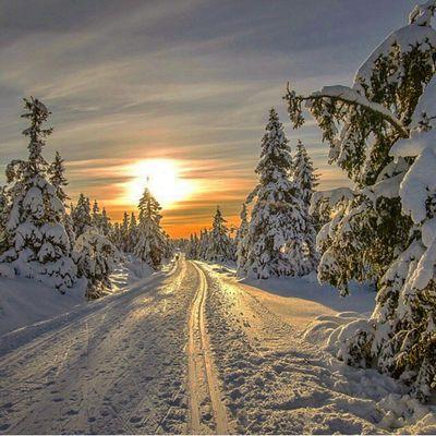 althunder64's profile picture. 