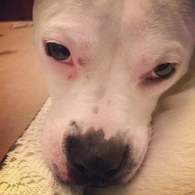 willimemo's profile picture. 