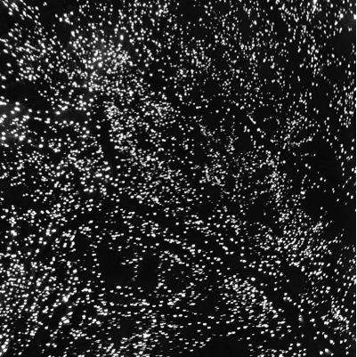 LehiLovers's profile picture. love is a dumb thing that people can't live without.