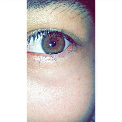 Whatsapp 3177196809