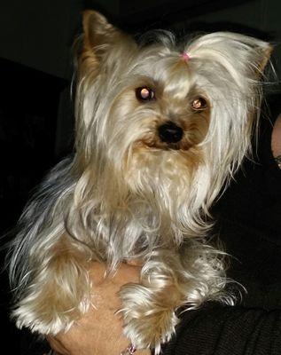 mariguadalema's profile picture. 