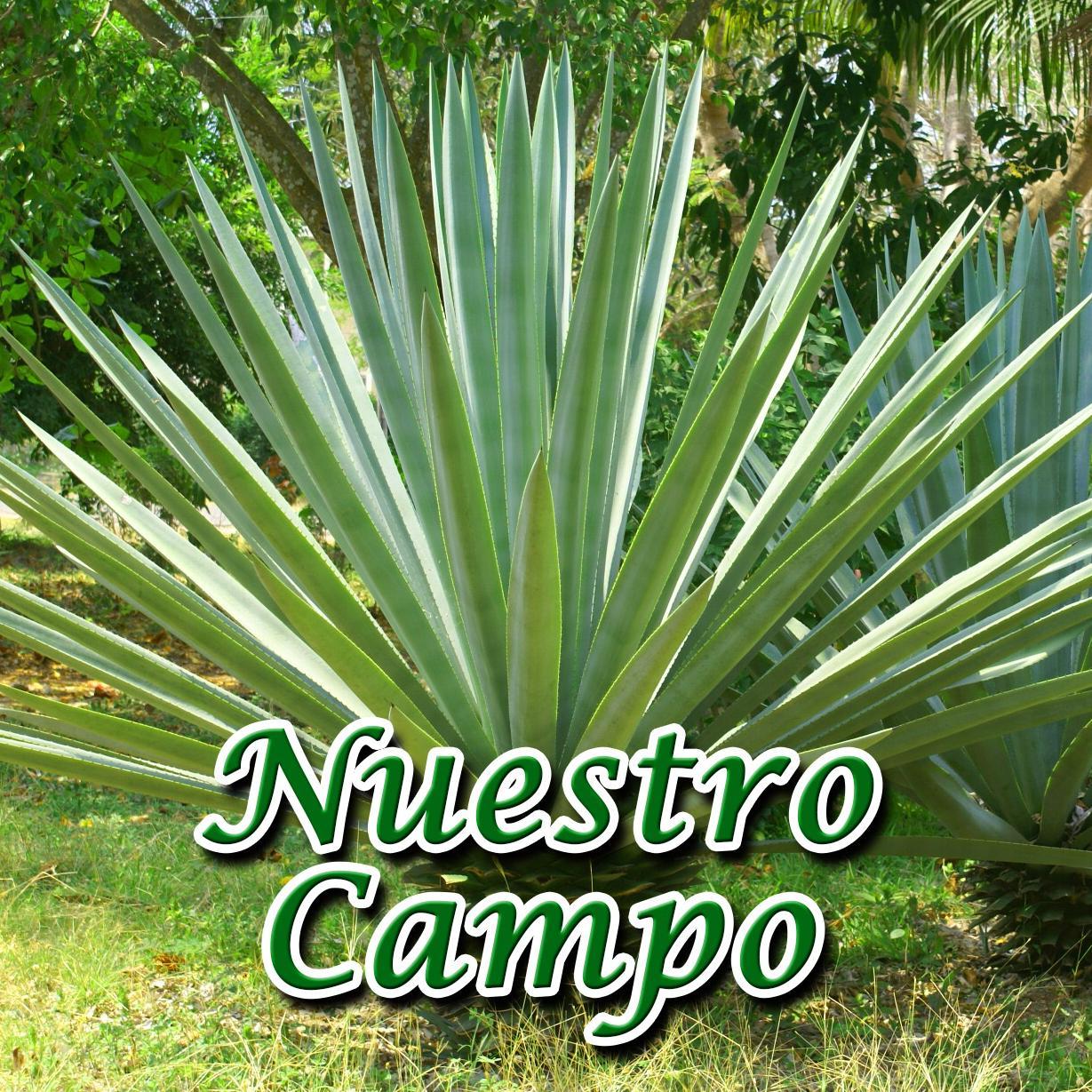 Novedades del Sector Agropecuario en el Estado de Yucatán. http://t.co/CJER9QWNic