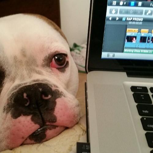 tayzxkiller12's profile picture. Zombies killed in action