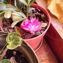 Alberto Tenorio Cast - @TenorioCast - Twitter