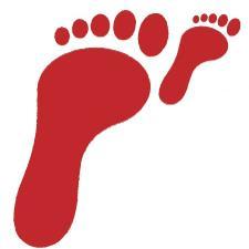 PAGHN's profile picture. Por la libertad de expresión y los derechos humanos