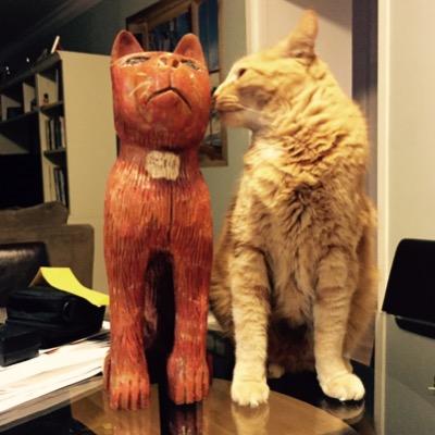 I'm a hunter, an excellent sleeper, a cathlete, Im running fur purresident and oh   I love love love turkey. insta: @Scampyhunter