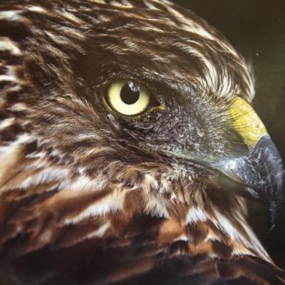 Morgz1983's profile picture. 