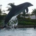 Jane Landes - @JaneLandes - Twitter