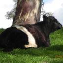 Judith McKinnon - @mckinnonjudith - Twitter