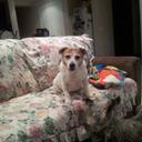 ian gass - @Gassyi64I - Twitter