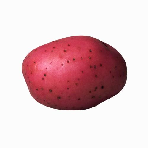 Home of the Lancaster Redskin Potatoes ™